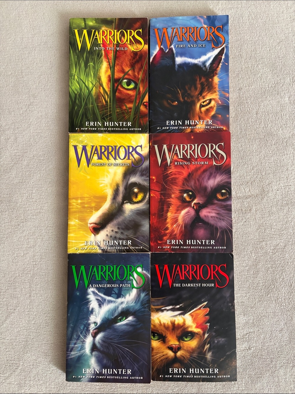HARPER Warriors book set 😺